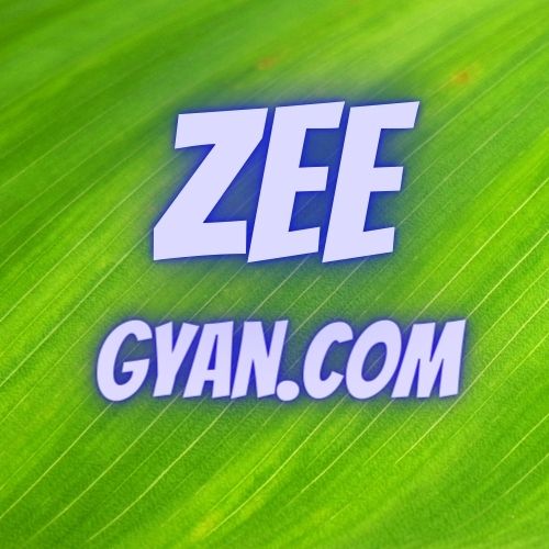 Zeegyan.Com